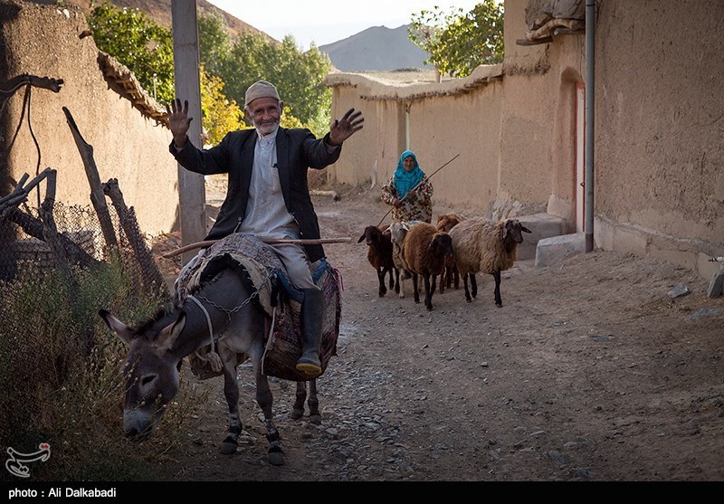 تصاویر خبری گوناگون